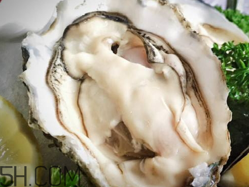 一個(gè)生蠔多少克 一個(gè)生蠔肉多少克 一個(gè)生蠔多少克 一個(gè)生蠔肉多少克