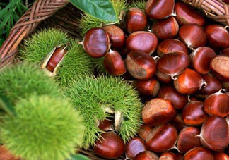 一歲寶寶能吃板栗嗎？寶寶吃板栗的做法有哪些？