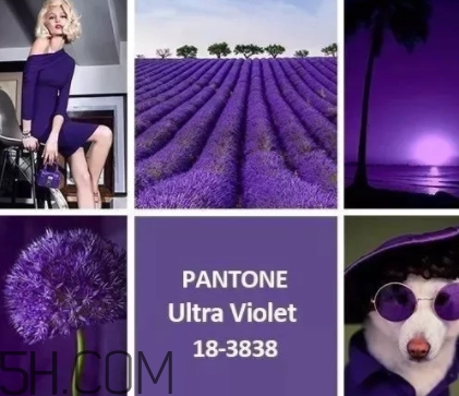 2018流行什么顏色衣服？2018流行衣服顏色搭配