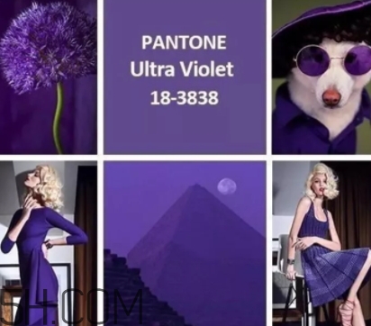 紫外光色衣服怎么搭配？紫外光色衣服搭配什么顏色