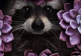 紫外光色衣服怎么搭配？紫外光色衣服搭配什么顏色