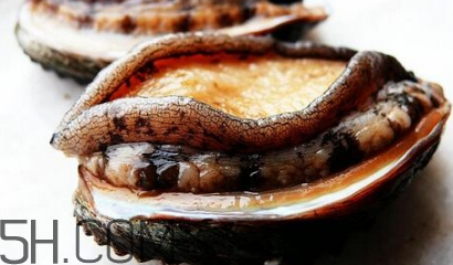 新鮮鮑魚怎么洗才干凈？鮑魚做法大全