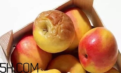 水果爛了能吃嗎？把爛了的水果挖掉能吃嗎？