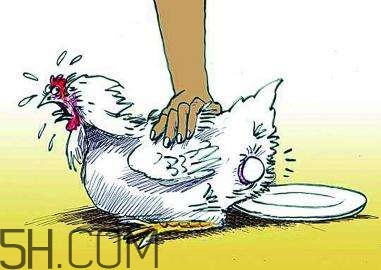 哪些食物補(bǔ)腦？補(bǔ)腦應(yīng)該注意些什么？