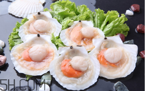 扇貝和生蠔有什么區(qū)別？扇貝和生蠔的營養(yǎng)價值