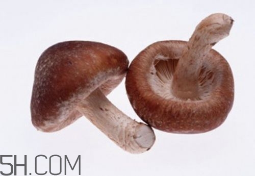 冬天吃什么肉好？冬天吃什么肉比較滋補(bǔ)身體？