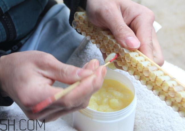 蜂王漿的營(yíng)養(yǎng)成分有哪些？怎么辨別真假蜂王漿？