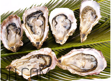 吃生蠔應(yīng)該注意哪些事項(xiàng)？生蠔與牡蠣的區(qū)別