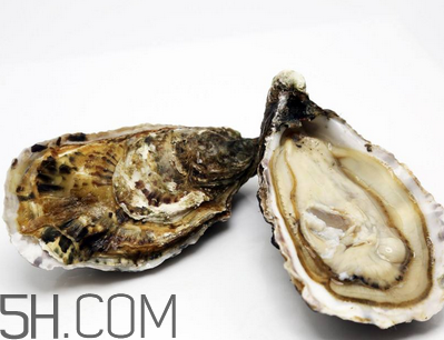 量吃生蠔有哪些好處？生蠔糖尿病人能吃嗎？