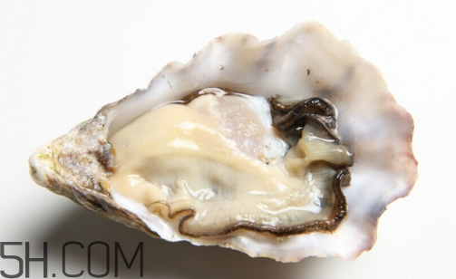 扇貝和生蠔有什么區(qū)別？扇貝和生蠔的營養(yǎng)價值