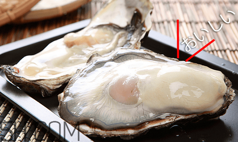 如何挑選活的生蠔？生蠔怎么吃圖解