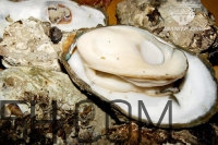 吃生蠔應(yīng)該注意哪些事項(xiàng)？生蠔與牡蠣的區(qū)別