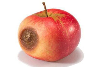 水果爛了能吃嗎？把爛了的水果挖掉能吃嗎？