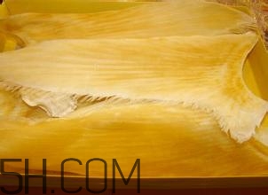 魚翅怎么發(fā)？孕婦可以吃魚翅嗎？