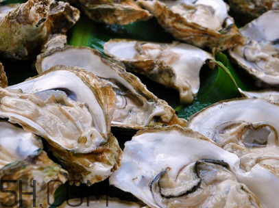 生蠔選購和清洗的方法 蒜蓉生蠔的做法 生蠔選購和清洗的方法 蒜蓉生蠔的做法