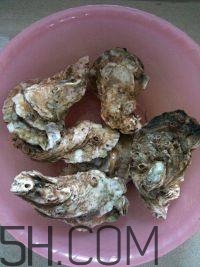 吃生蠔應(yīng)該注意哪些事項(xiàng)？生蠔與牡蠣的區(qū)別
