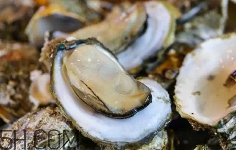 生蠔生吃好嗎？生蠔怎么吃最有營(yíng)養(yǎng)？