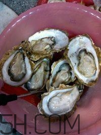 吃生蠔應(yīng)該注意哪些事項(xiàng)？生蠔與牡蠣的區(qū)別