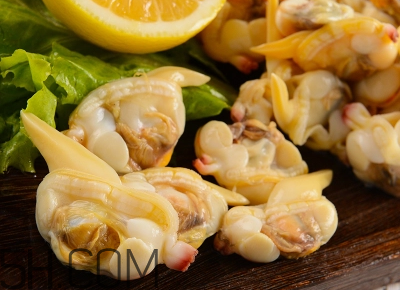 花甲可以冷凍嗎？養(yǎng)花甲鹽和水的比例是多少？