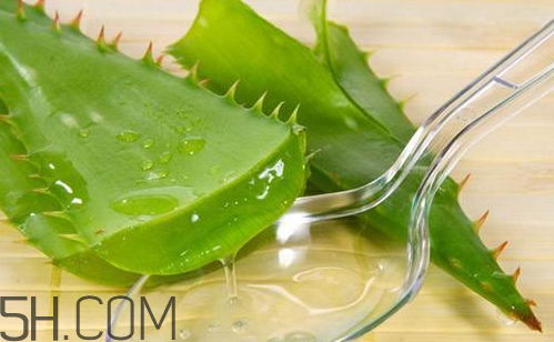 雅麗潔蘆薈膠和完美蘆薈膠哪個好？