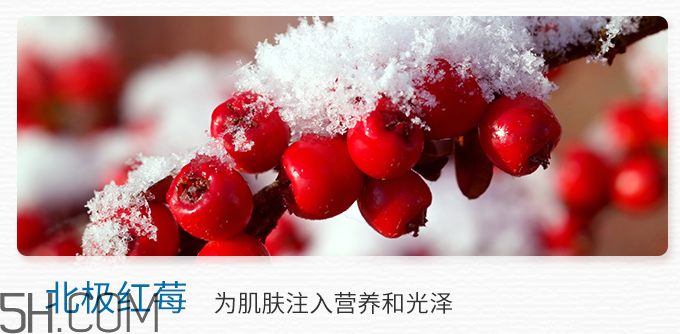 得鮮冰島補水保濕乳液 得鮮冰島補水保濕乳液