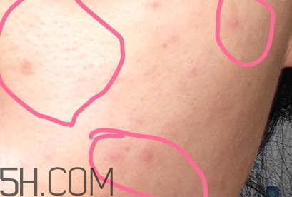 豬油膏怎么用？豬油膏使用順序