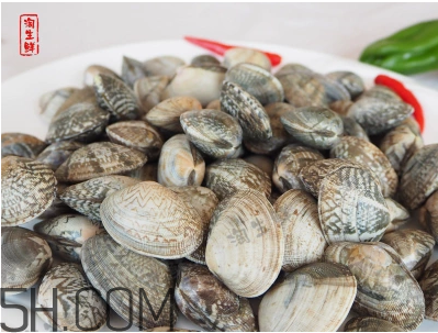 花甲可以冷凍嗎？養(yǎng)花甲鹽和水的比例是多少？