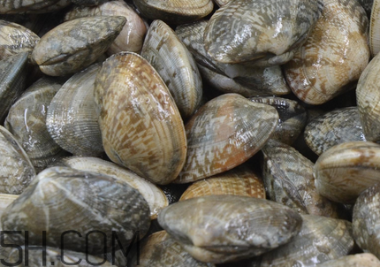 花甲可以冷凍嗎？養(yǎng)花甲鹽和水的比例是多少？