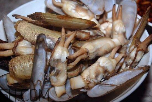 蟶子里面的黑色能吃嗎？蟶子為什么一撒鹽就出來？