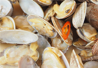 花甲可以冷凍嗎？養(yǎng)花甲鹽和水的比例是多少？