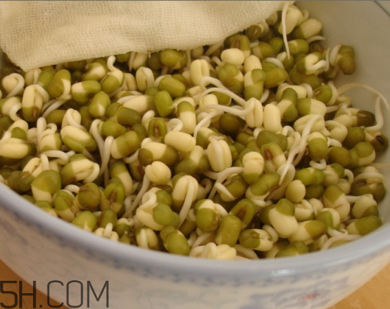 如何健康的喝豆?jié){？喝豆?jié){有什么注意事項(xiàng)嗎？