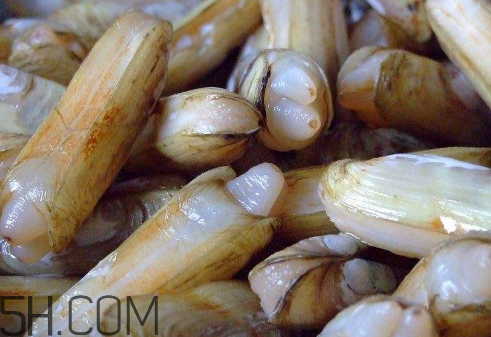 蟶子里面的黑色能吃嗎？蟶子為什么一撒鹽就出來？