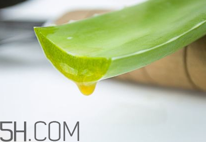 自然樂(lè)園蘆薈膠孕婦可以用嗎？自然樂(lè)園蘆薈膠使用心得