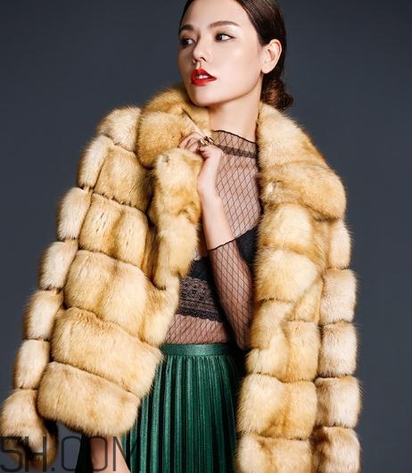 裘皮大衣是什么動(dòng)物皮？裘皮大衣怎么保養(yǎng)？