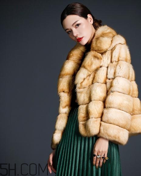 裘皮大衣是什么動(dòng)物皮？裘皮大衣怎么保養(yǎng)？