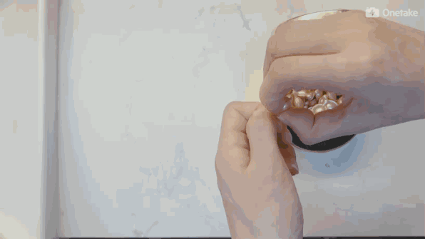 雅頓金膠怎么打開？雅頓金膠膠囊怎么扭開？