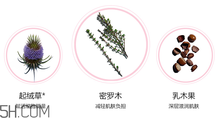 嬌韻詩(shī)青春賦活日間霜 嬌韻詩(shī)青春賦活日間霜