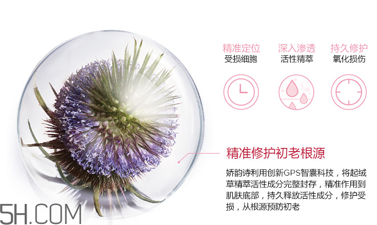 嬌韻詩(shī)青春賦活日間乳