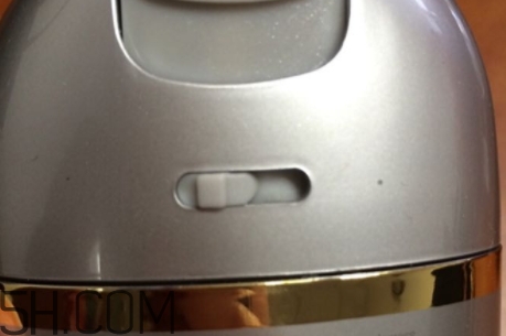 雅頓小銀蛋是什么？雅頓小銀蛋多少錢？