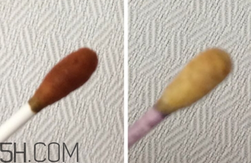 雅頓小銀蛋是什么？雅頓小銀蛋多少錢？