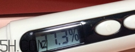 雅頓小銀蛋是什么？雅頓小銀蛋多少錢？