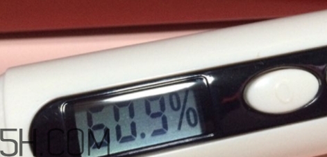 雅頓小銀蛋是什么？雅頓小銀蛋多少錢？