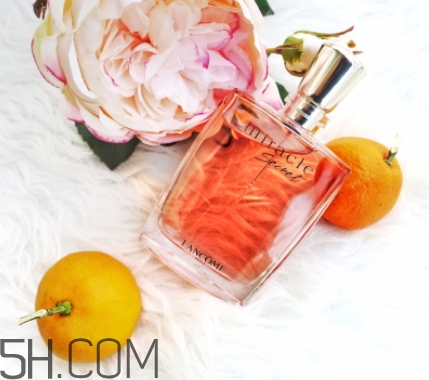 蘭蔻全新奇跡密語香水好聞嗎？蘭蔻全新奇跡密語香水香調(diào)