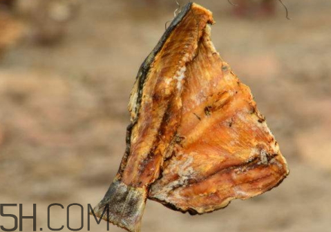 腌臘魚十斤放多少鹽 腌制臘魚的用鹽比例 腌臘魚十斤放多少鹽 腌制臘魚的用鹽比例