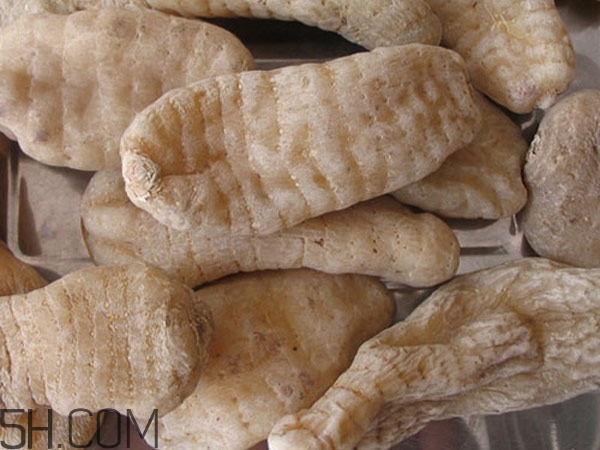 天麻能泡水喝嗎？吃天麻有什么作用？