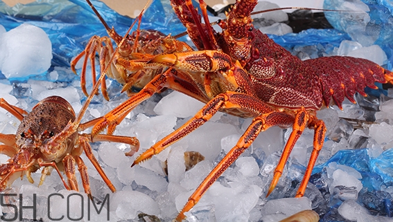 吃什么食物可以讓胸部變大？豐胸的食物有哪些？