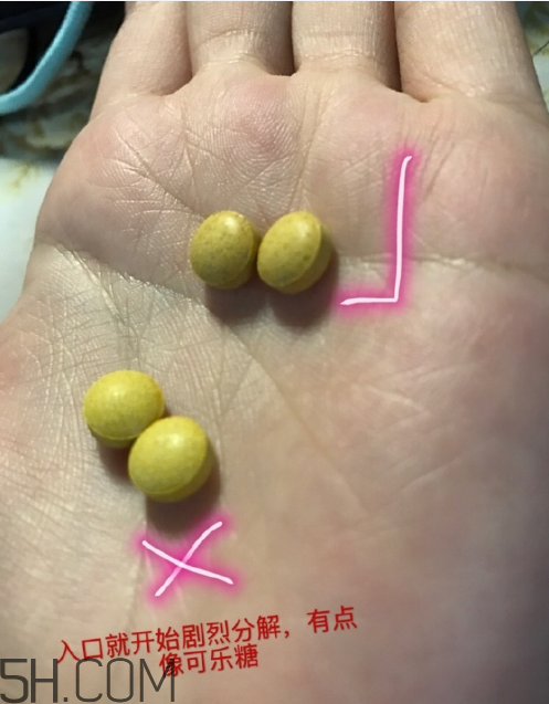 新谷酵素多少錢一盒？新谷酵素真假辨認(rèn)