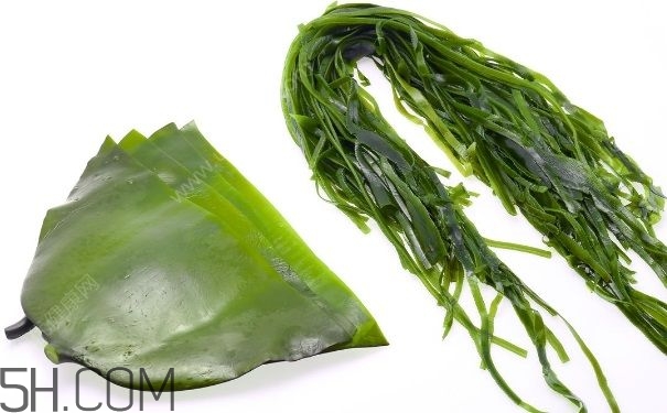 海帶的做法有哪些？怎么挑選優(yōu)質(zhì)海帶？