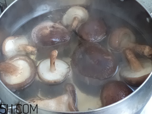 香菇和白蘿卜可以一起吃嗎？香菇和白蘿卜一起吃有什么好處？