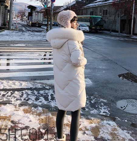 鵝絨羽絨服大概多少錢？白鵝絨羽絨服多少錢一件？